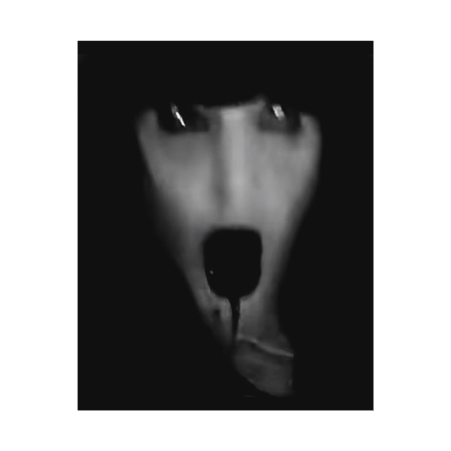 ViVi Vex Screams of Joy Rolled Poster 3