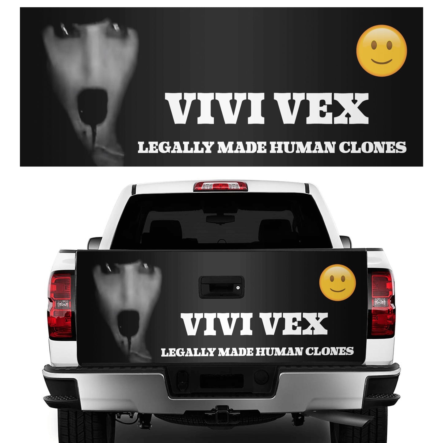 ViVi Vex Truck Decals Sticker