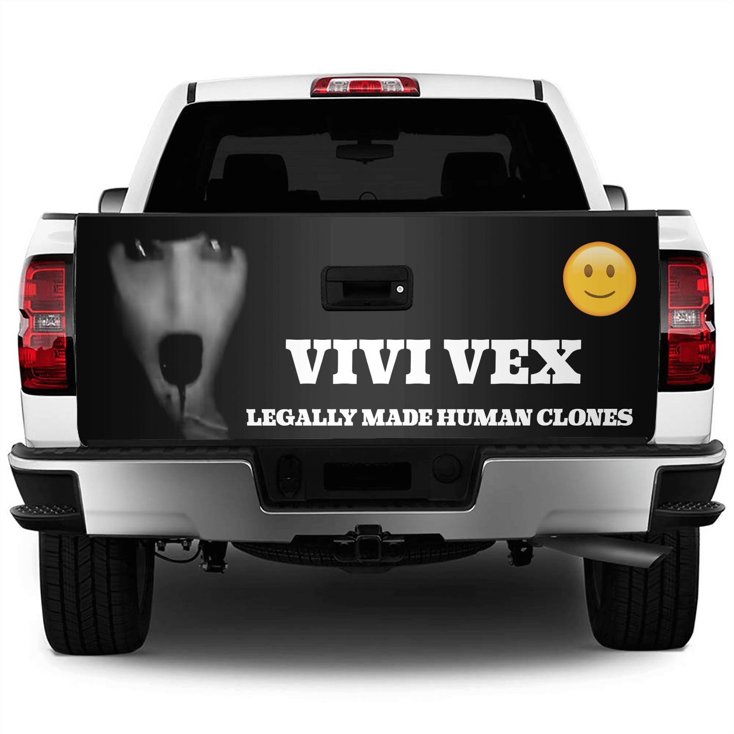 ViVi Vex Truck Decals Sticker