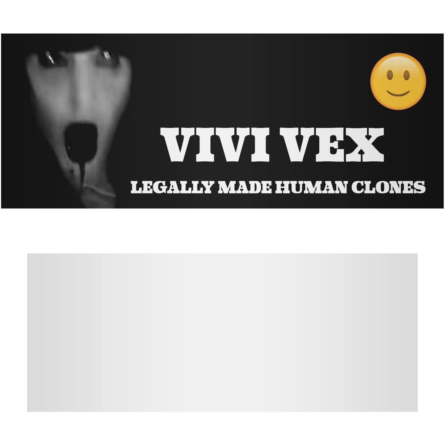 ViVi Vex Truck Decals Sticker