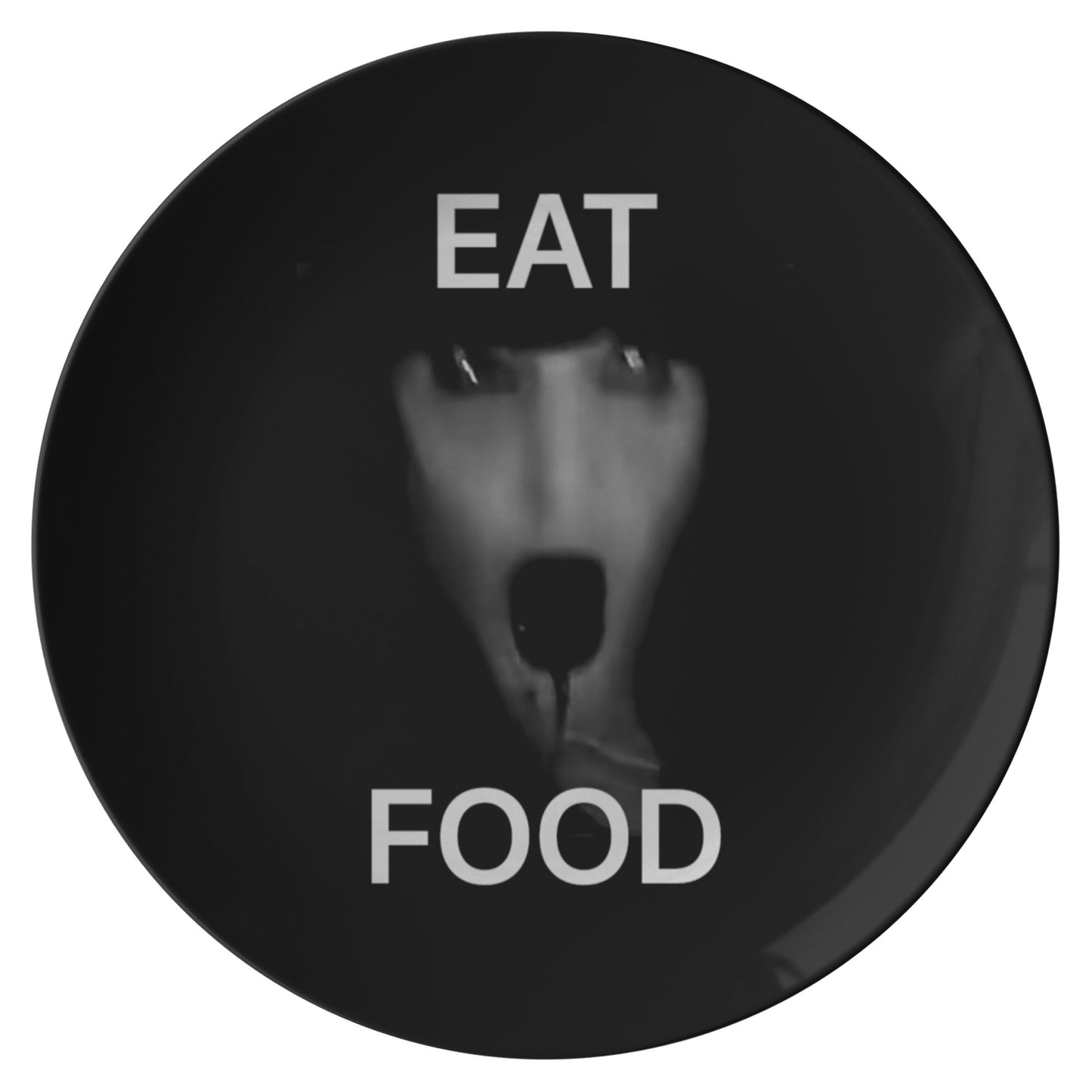 The ViVi Vex Food Plate For Eating Food