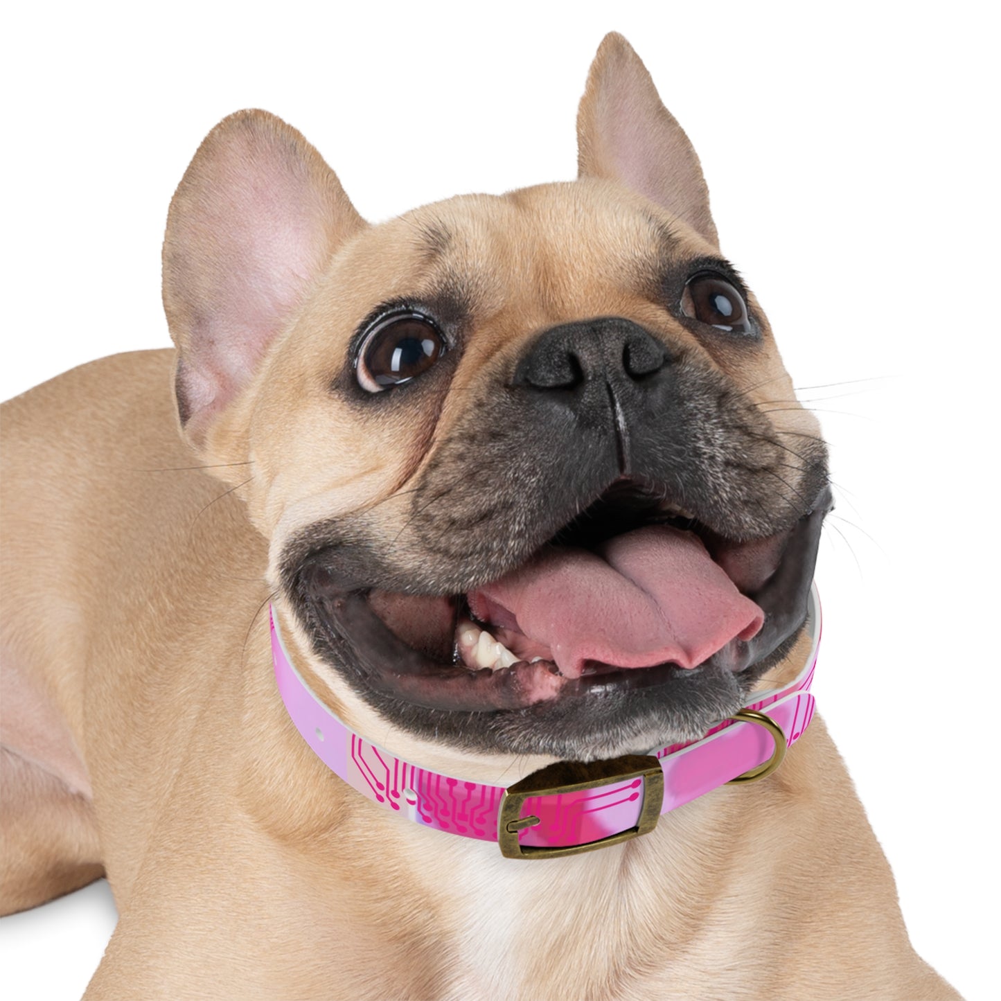 ViVi Vex Cyberpuff Dog Collar (Or for you if it fits... Humans already wear chokers and collars so we're not judging)