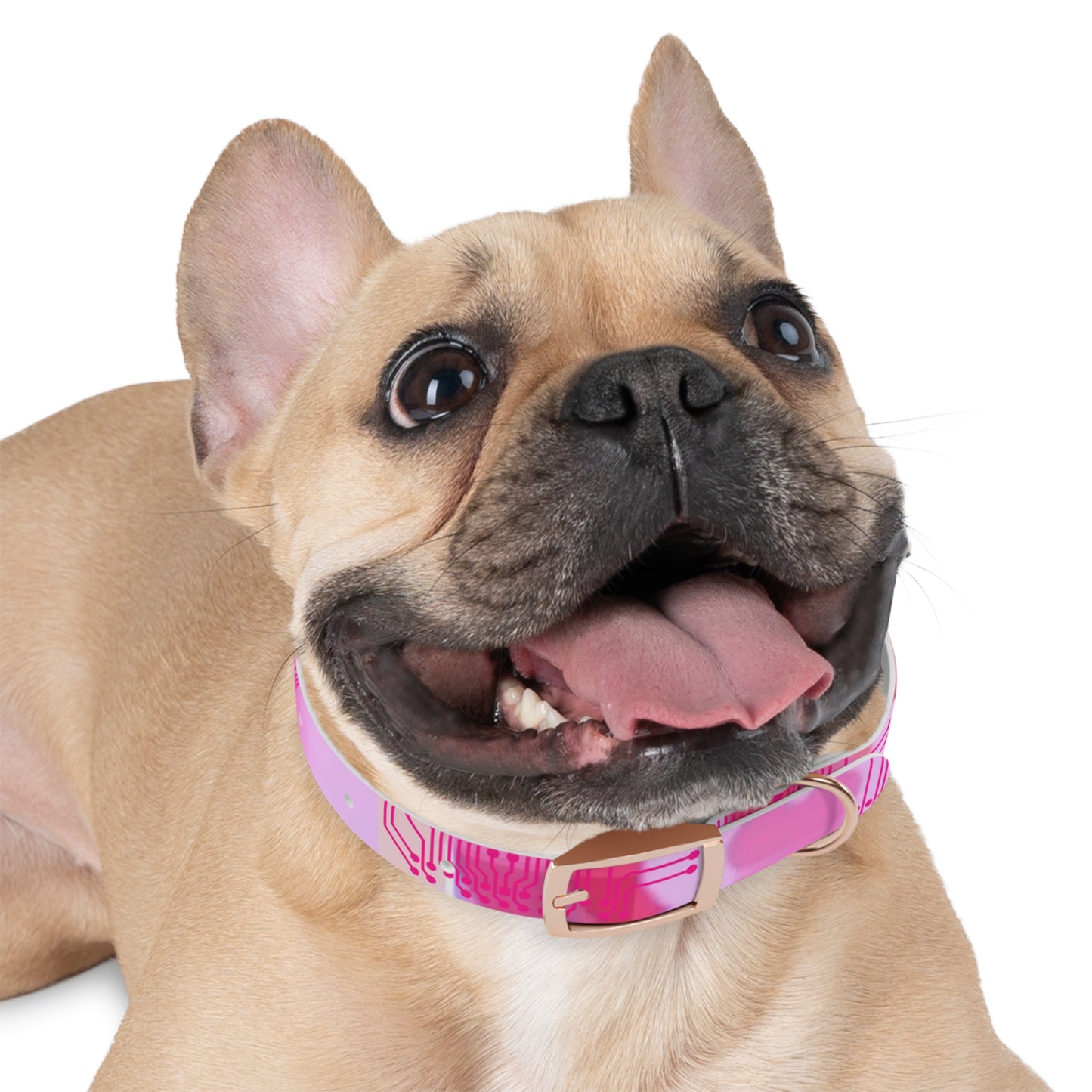 ViVi Vex Cyberpuff Dog Collar (Or for you if it fits... Humans already wear chokers and collars so we're not judging)