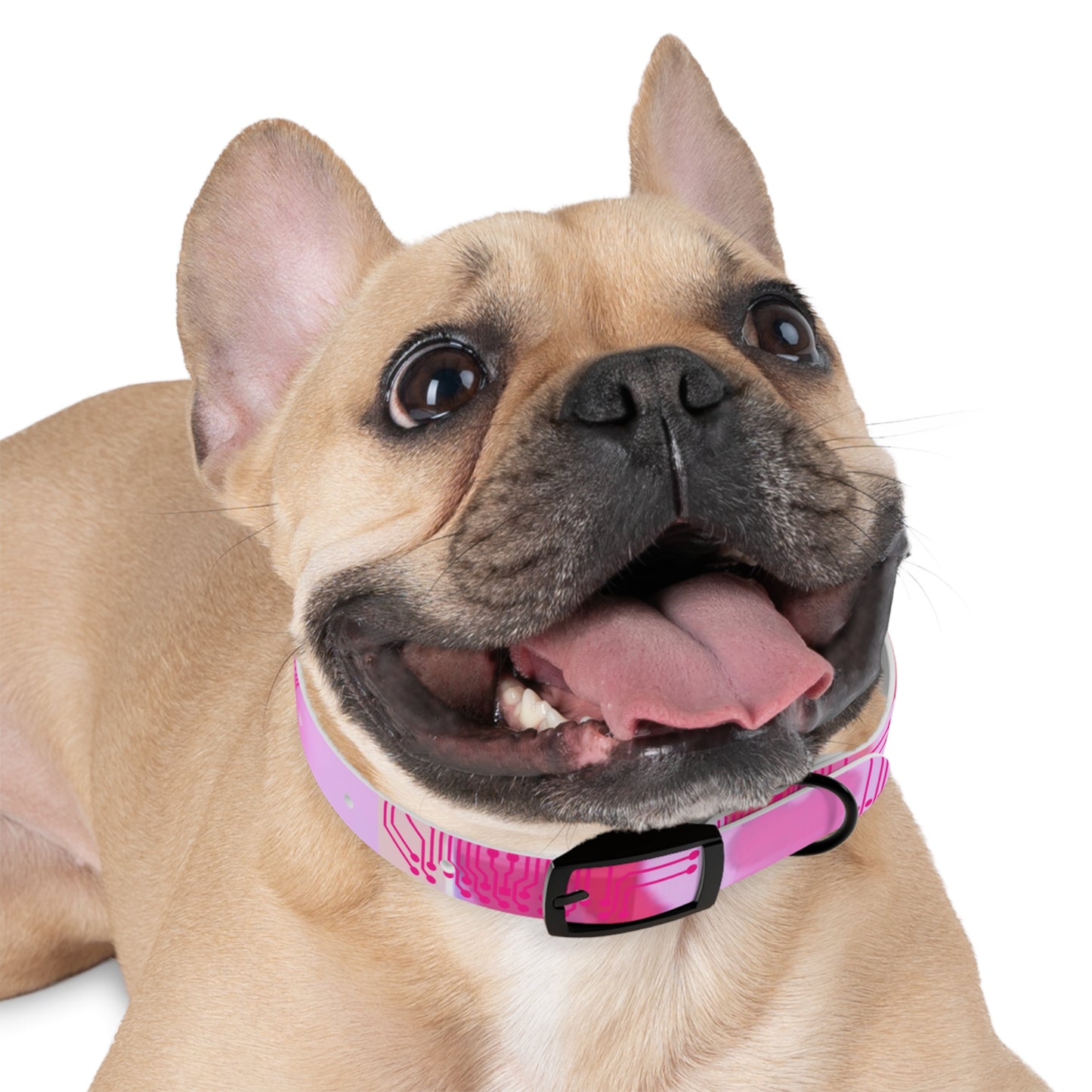 ViVi Vex Cyberpuff Dog Collar (Or for you if it fits... Humans already wear chokers and collars so we're not judging)