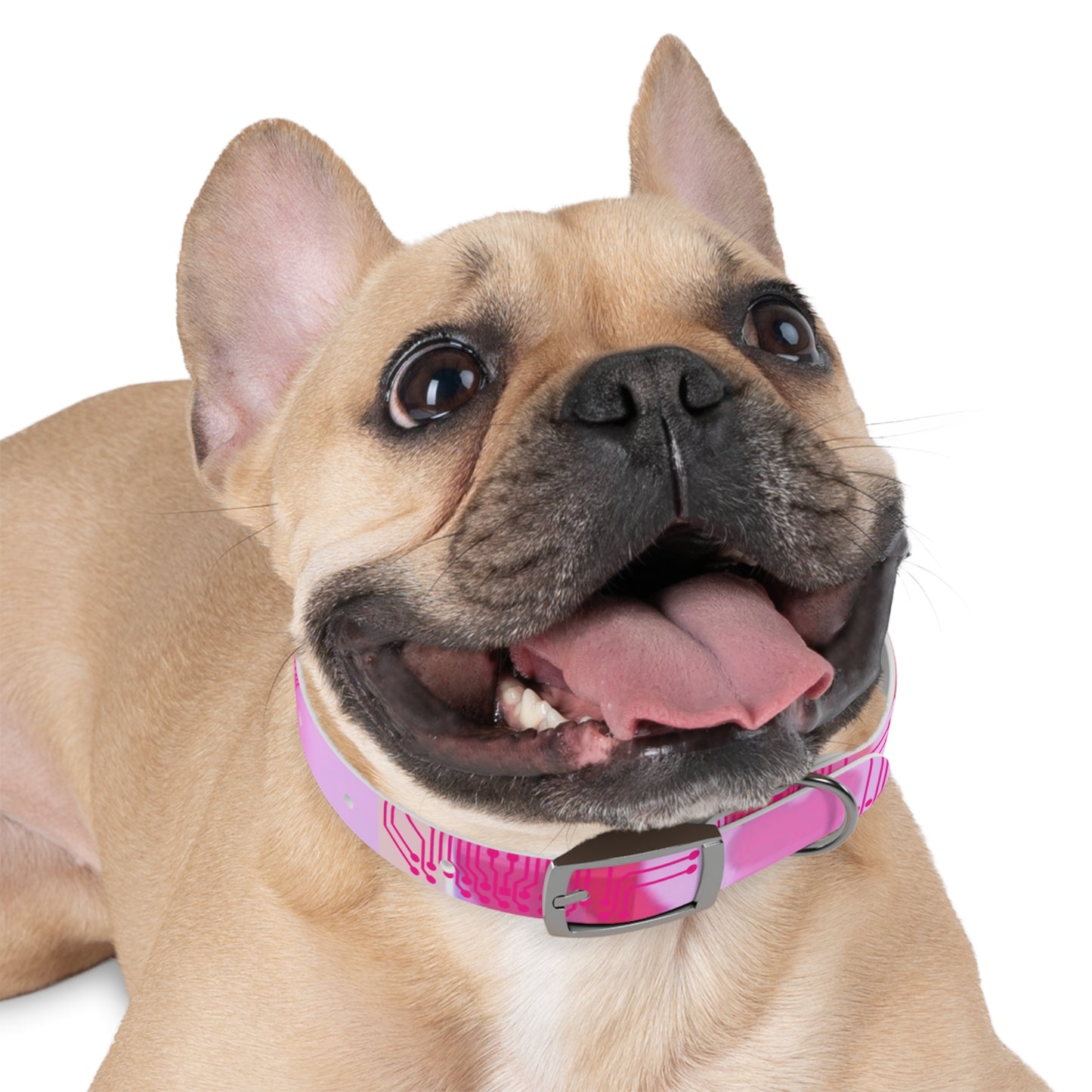 ViVi Vex Cyberpuff Dog Collar (Or for you if it fits... Humans already wear chokers and collars so we're not judging)